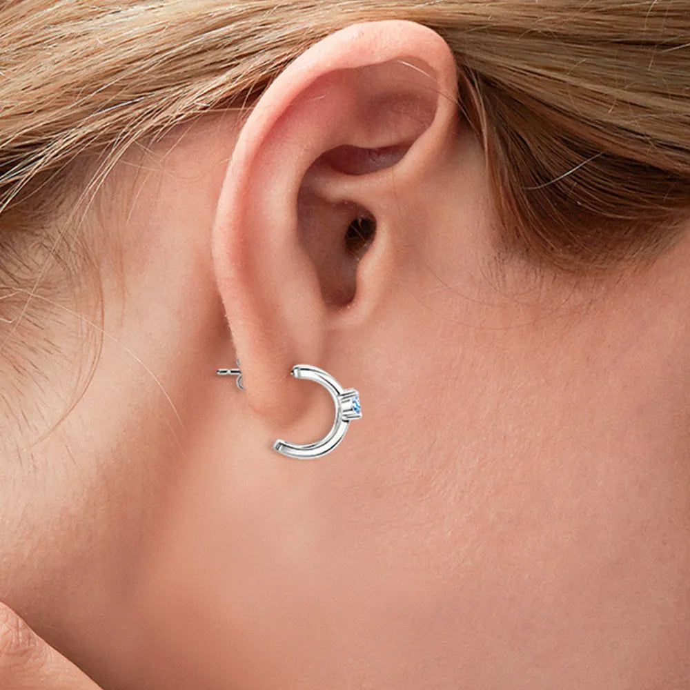 Moissanite 925 Sterling Silver Earrings – photo 6 – Avaiya Gems