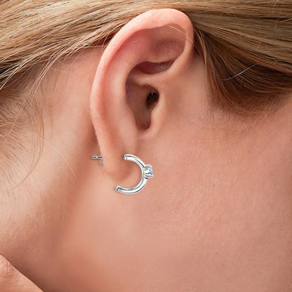 Moissanite 925 Sterling Silver Earrings – photo 6 – Avaiya Gems
