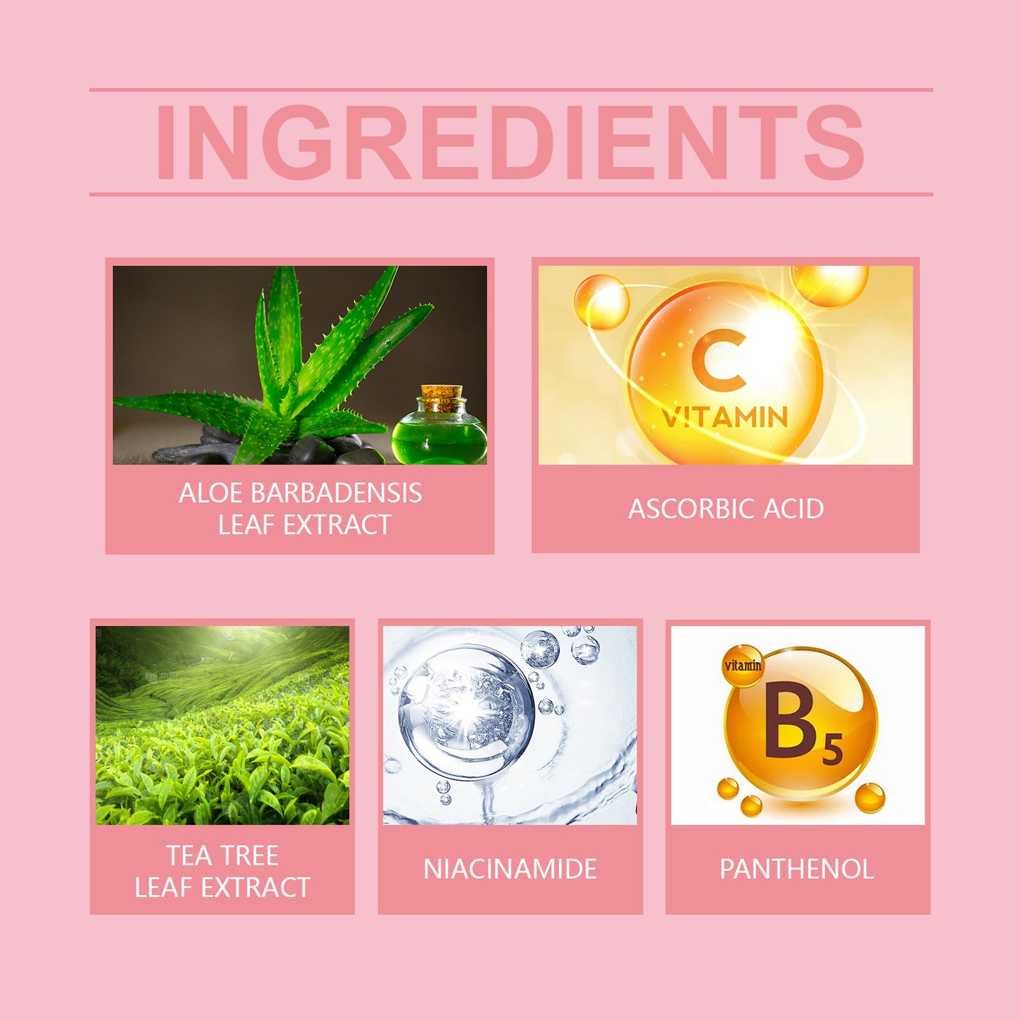 Aloe Vera Moisturizing Water, Repair Facial Skin Hydrating, Moisturizing, Clear, Elastic And Impr... – photo 4 – Avaiya Gems