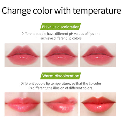 VIBELY Aloe Vera Moisturizing Moisturizing Warm Color Jelly Lipstick Lip Gloss Lip Care Lip Care ... – photo 2 – Avaiya Gems