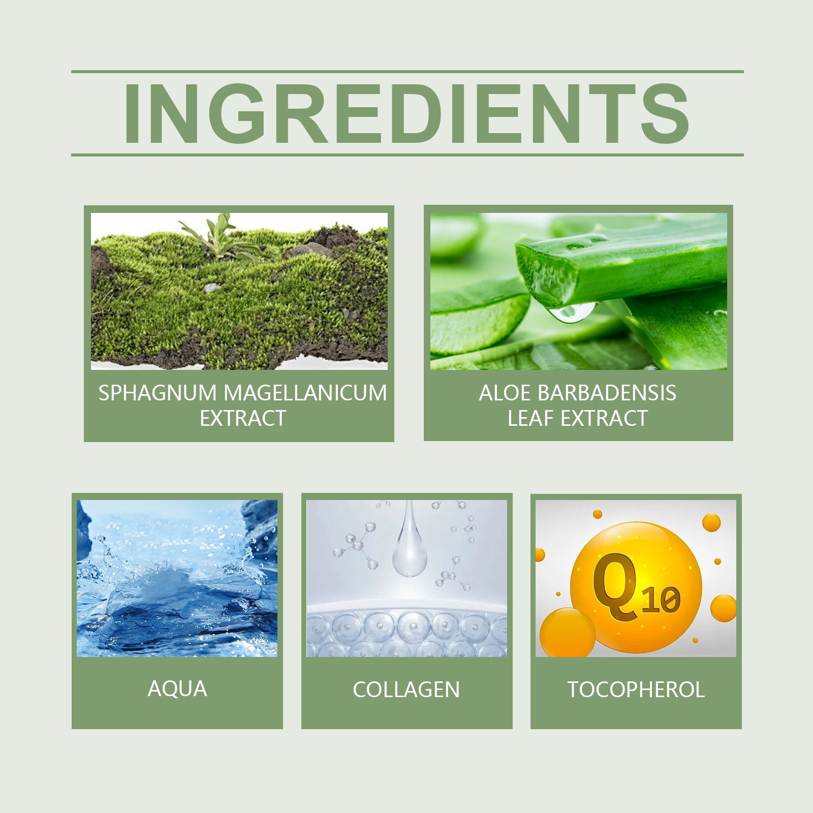 Ouhoe Moisturizing And Anti-Wrinkle Cream Reduces Fine Lines On Face With Aloe Vera Moisturizing ... – photo 3 – Avaiya Gems